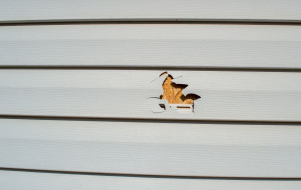 Cost of Siding Hole Patching in Boston